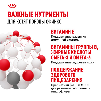 Royal Canin Sphynx Kitten Корм сухой сбалансированный для котят породы Сфинкс до 12 месяцев, 0,4 кг